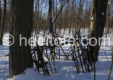 Tent structure made of branches                           heeltote.com