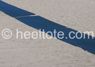 The blue                          carpet  heeltote.com