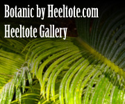 Heeltote.com Botanic Gallery  heeltote.com