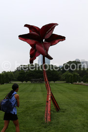 Tiger Lily sculpture in Grant Park  heeltote.com