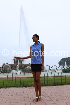 Heeltote.com at Buckingham Fountain in Grant Park, Chicago  heeltote.com