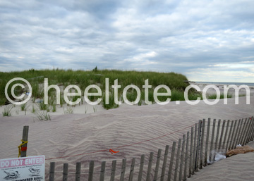 Jones                        Beach State Park dunes  heeltote.com