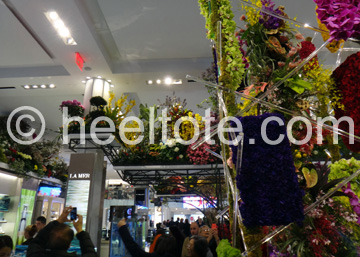 Visitors taking in the Macy's 40th Annual                        Flower Show  heeltote.com