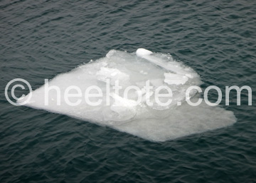 Heeltote Haiku: Broken but still whole | floating ice water as guide | ride the wavy tide  heeltote.com